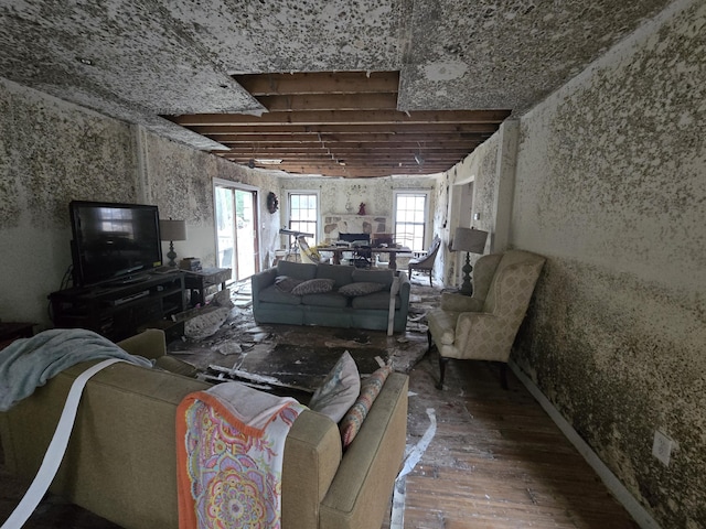 living room with hardwood / wood-style floors