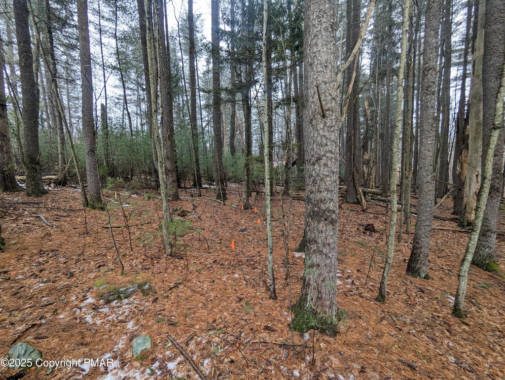 11 Pine Hill Ct, East Stroudsburg, PA 18302
