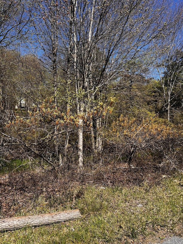 LOT5882 Tumbleweed Dr, Long Pond, PA 18334 - photo 5