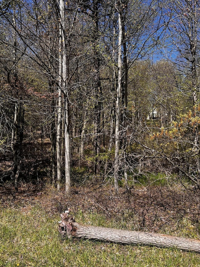 LOT5882 Tumbleweed Dr, Long Pond, PA 18334 - photo 2