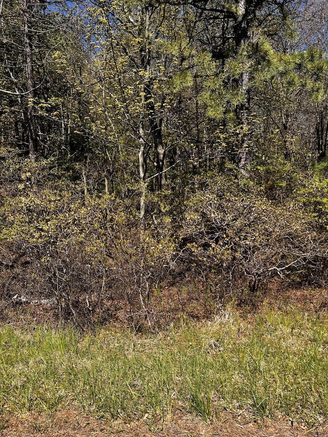 LOT5882 Tumbleweed Dr, Long Pond, PA 18334 - photo 4