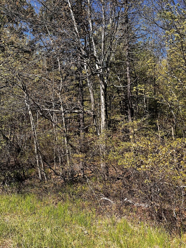 LOT5882 Tumbleweed Dr, Long Pond, PA 18334 - photo 6
