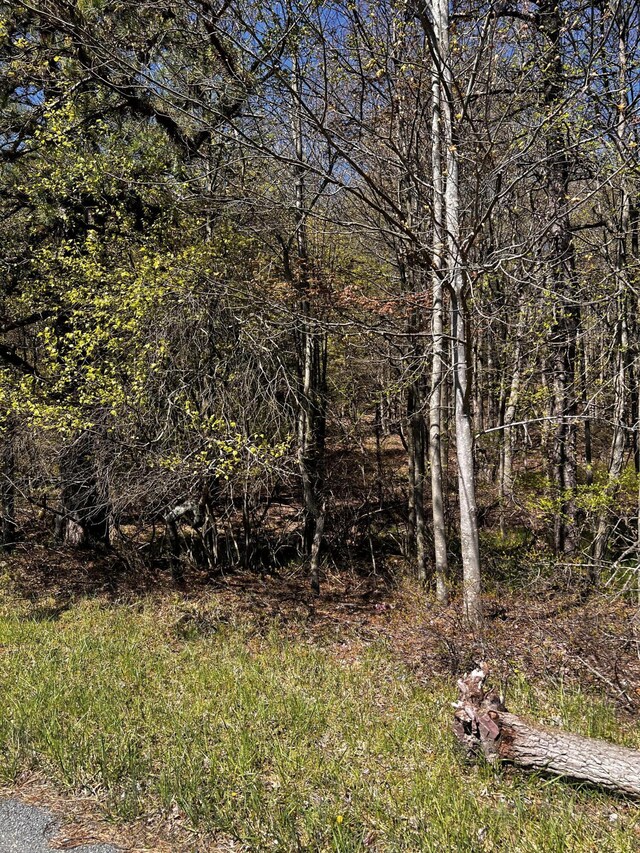 LOT5882 Tumbleweed Dr, Long Pond, PA 18334 - photo 3