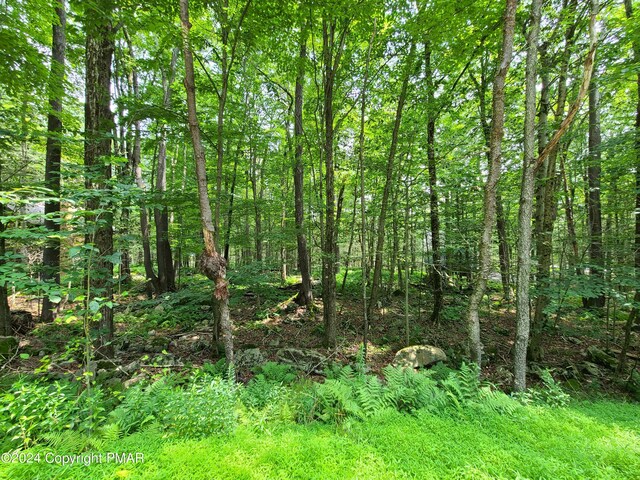 Listing photo 2 for LOT461 W Creek View Dr, Gouldsboro PA 18424