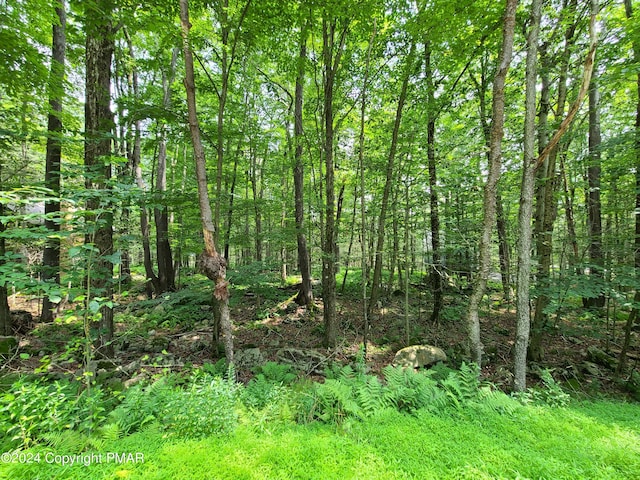 Listing photo 2 for LOT461 W Creek View Dr, Gouldsboro PA 18424