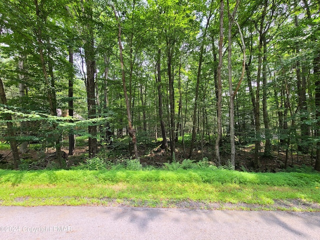 LOT461 W Creek View Dr, Gouldsboro PA, 18424 land for sale