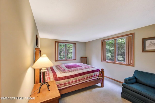 126 Little Fawn Cres, Pocono Pines, PA 18350 - photo 33