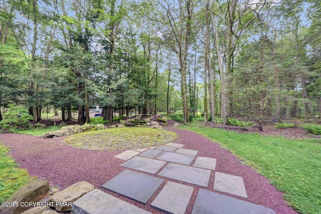 126 Little Fawn Cres, Pocono Pines, PA 18350 - photo 51