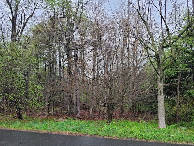 LOTB13 Forest Dr, Tobyhanna, PA 18466