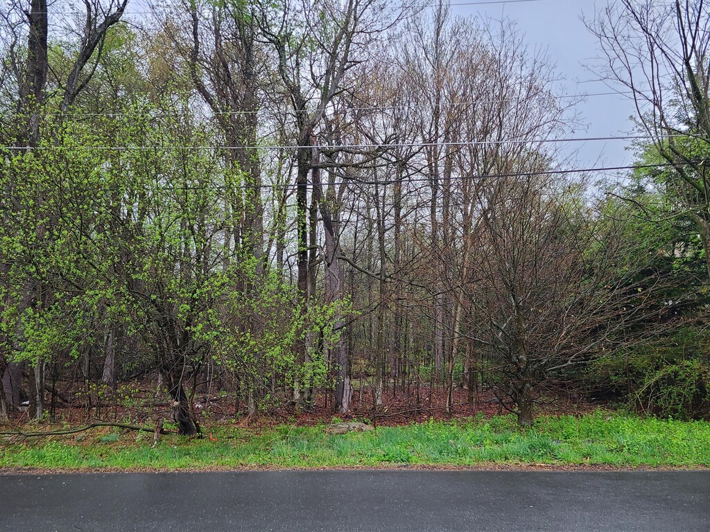 LOTB13 Forest Dr, Tobyhanna, PA 18466