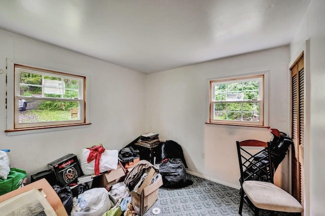 325 Mt Nebo Rd, East Stroudsburg, PA 18301 - carpeted bedroom featuring multiple windows and a closet