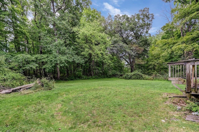325 Mt Nebo Rd, East Stroudsburg, PA 18301 - view of grassy yard