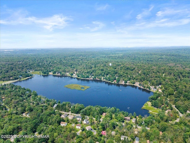 1454 Waterfront Dr, Tobyhanna, PA 18466 - photo 47