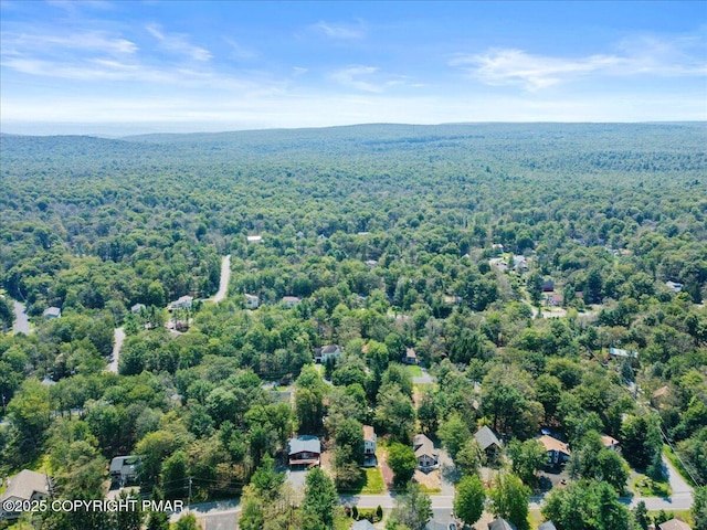 1454 Waterfront Dr, Tobyhanna, PA 18466 - photo 48