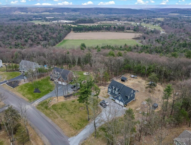 116 Red Bud Ln, Kunkletown, PA 18058 - aerial overview of property's location