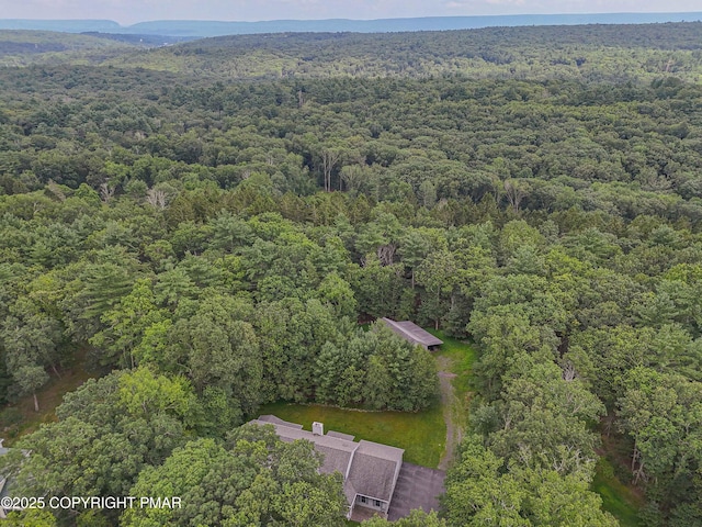 3811 Foxborough Ct, Stroudsburg, PA 18360 - photo 3