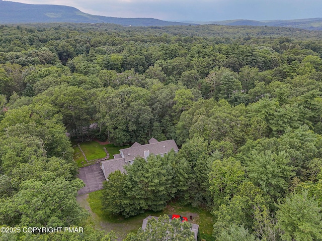 3811 Foxborough Ct, Stroudsburg, PA 18360 - photo 81