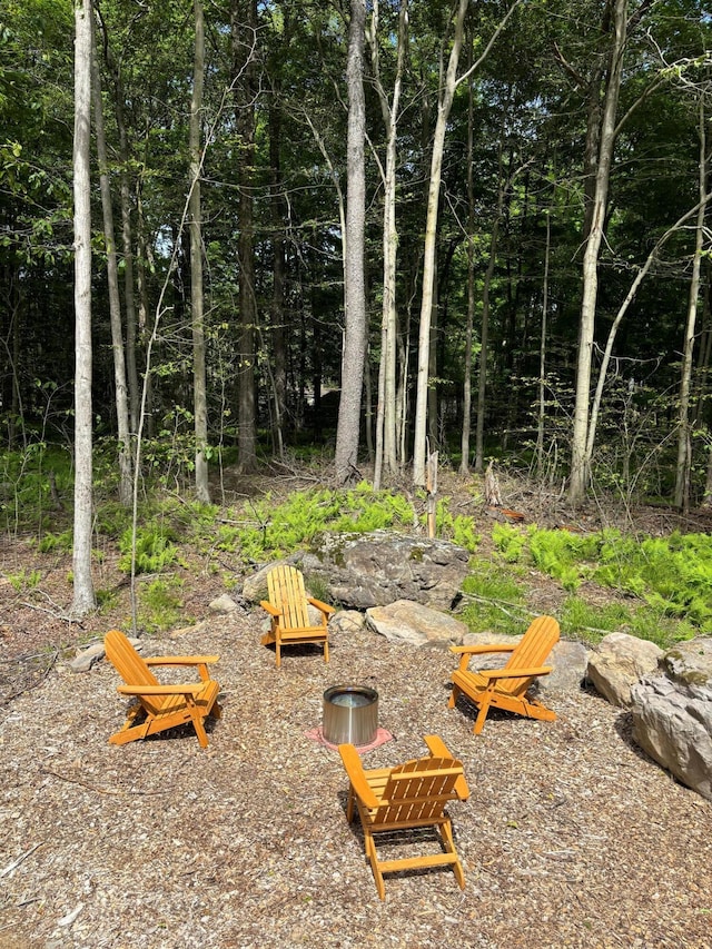 290 Wyomissing Dr, Pocono Lake, PA 18347 - view of yard