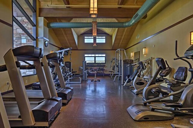 290 Wyomissing Dr, Pocono Lake, PA 18347 - gym with high vaulted ceiling and wood ceiling