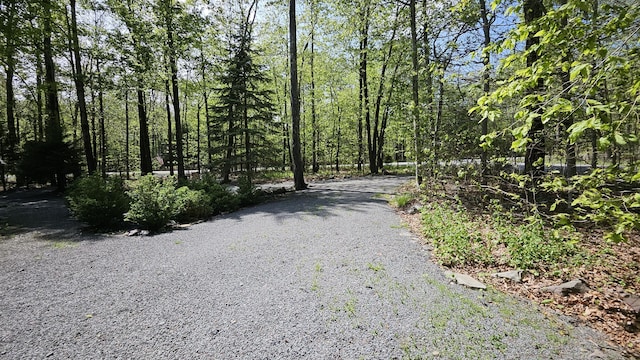 1196 Redwood Ter, Pocono Pines, PA 18350 - view of road with a wooded view