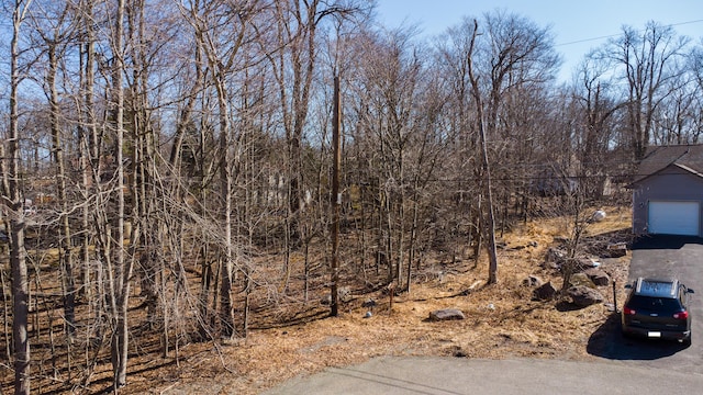 0 Woodland Dr, Tobyhanna, PA 18466