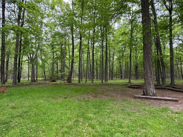 122 Sawmill Rd, Pocono Lake, PA 18347 - view of grassy yard