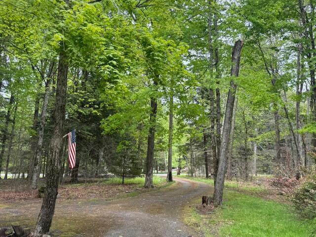 122 Sawmill Rd, Pocono Lake, PA 18347 - view of property's community with a wooded view and driveway
