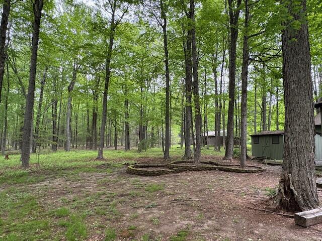 122 Sawmill Rd, Pocono Lake, PA 18347 - view of tree filled area