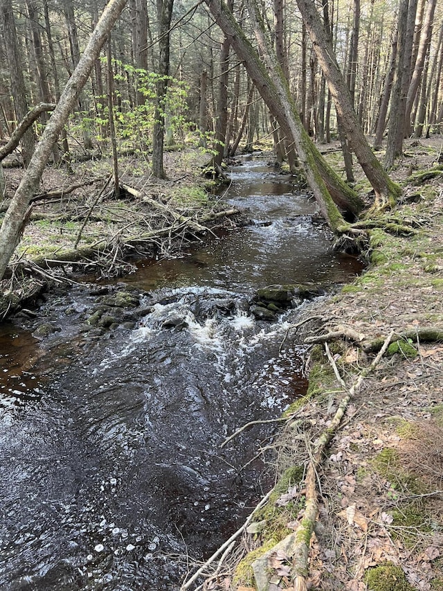122 Sawmill Rd, Pocono Lake, PA 18347 - view of undeveloped land