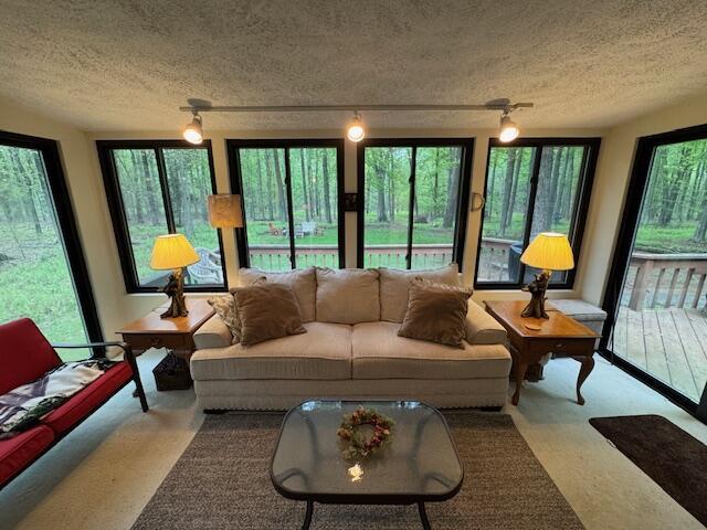 122 Sawmill Rd, Pocono Lake, PA 18347 - living area with a textured ceiling, rail lighting, and carpet floors