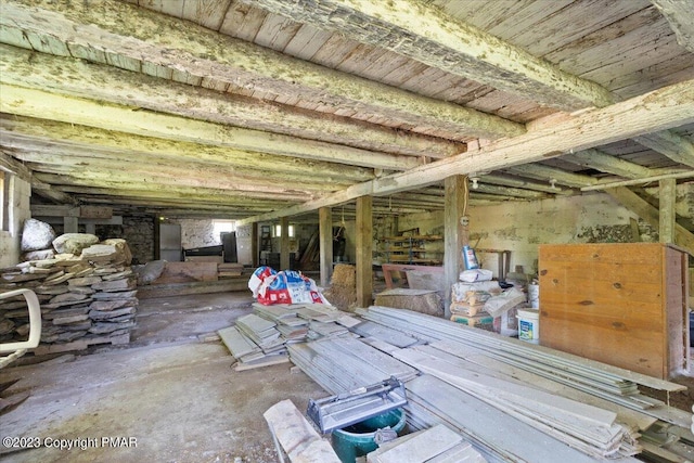 miscellaneous room featuring lofted ceiling