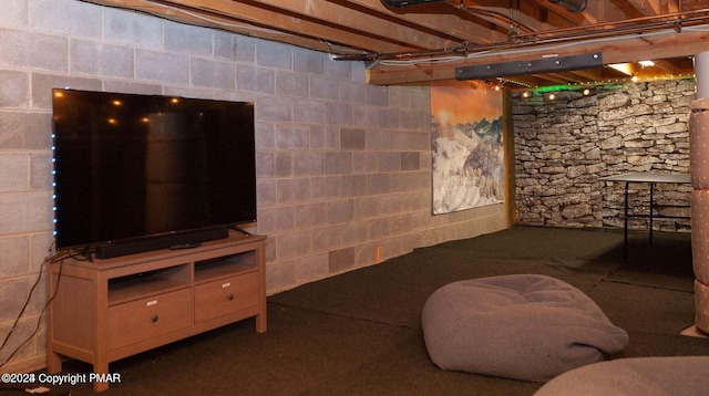 unfinished basement with concrete block wall