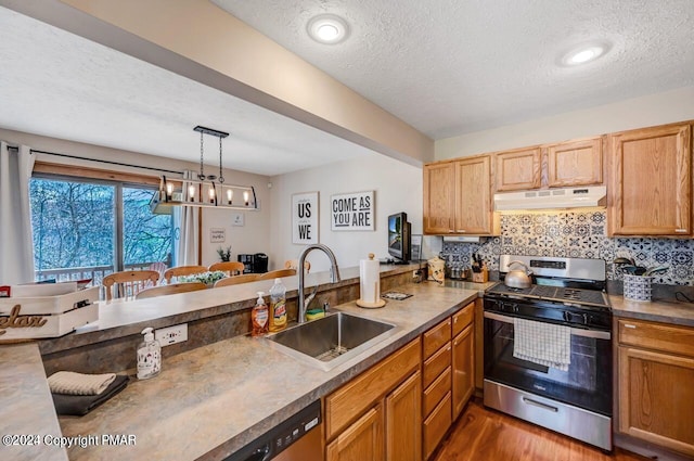 kitchen featuring decorative backsplash, wood finished floors, stainless steel appliances, under cabinet range hood, and a sink