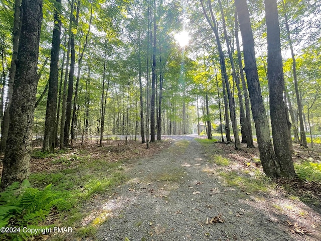 view of road featuring a forest view