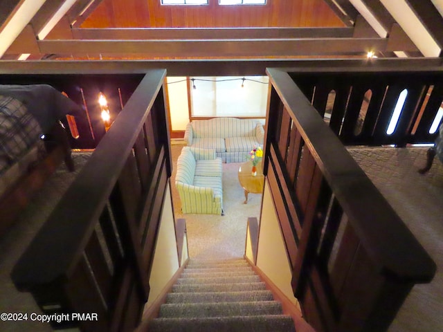 staircase with carpet flooring