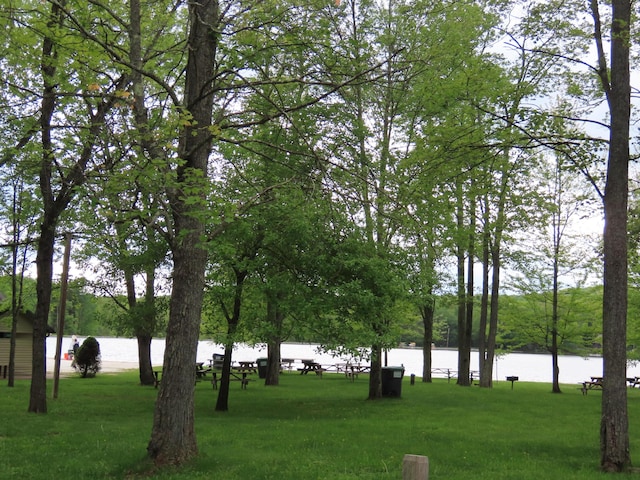 260 Partridge Dr, Pocono Lake, PA 18347 - view of property's community featuring a water view and a lawn