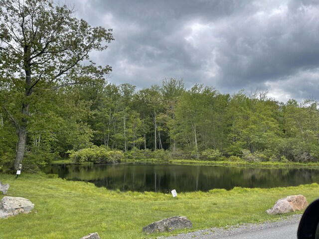 260 Partridge Dr, Pocono Lake, PA 18347 - water view with a forest