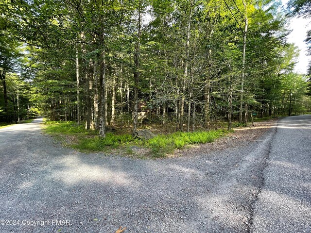 260 Partridge Dr, Pocono Lake, PA 18347 - view of asphalt street featuring a forest view