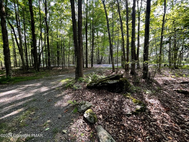 260 Partridge Dr, Pocono Lake, PA 18347 - view of woods
