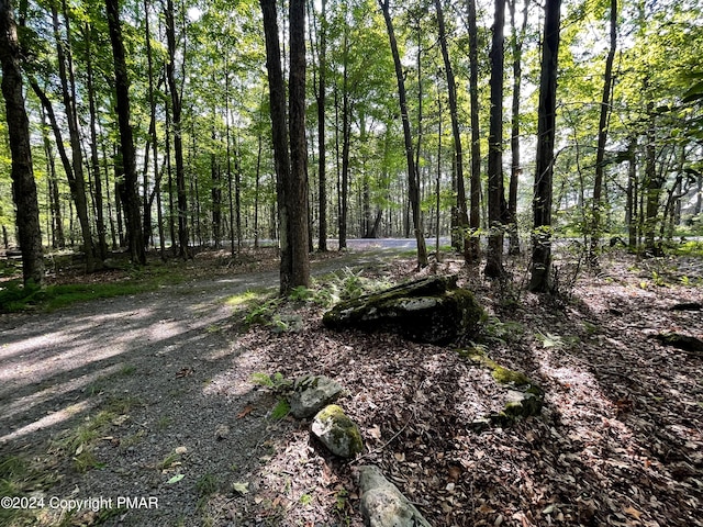 view of local wilderness with a forest view