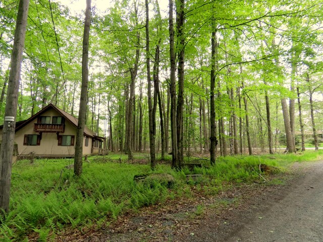 260 Partridge Dr, Pocono Lake, PA 18347 - view of dirt / gravel road featuring a forest view