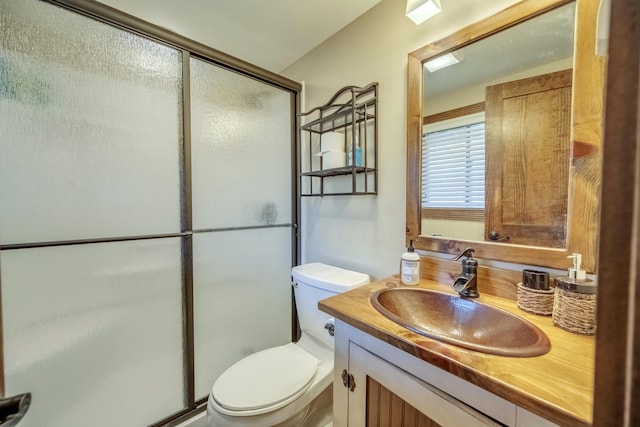 bathroom with a shower stall, toilet, and vanity