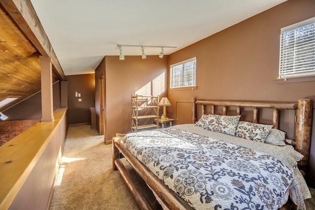 bedroom with rail lighting and light carpet