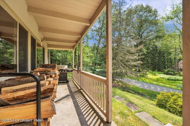 72 Forest Dr, Lake Harmony, PA 18624 - photo 58