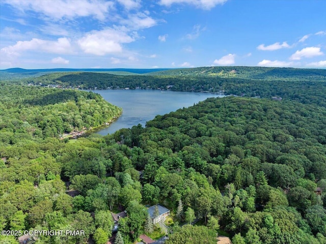 72 Forest Dr, Lake Harmony, PA 18624 - photo 46