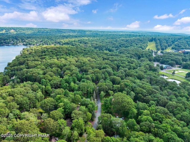72 Forest Dr, Lake Harmony, PA 18624 - photo 48