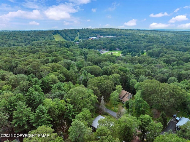 72 Forest Dr, Lake Harmony, PA 18624 - photo 49