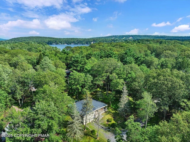 72 Forest Dr, Lake Harmony, PA 18624 - photo 45