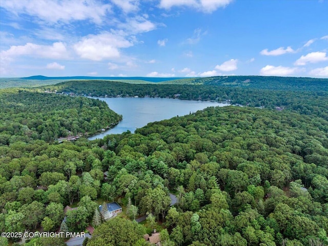 72 Forest Dr, Lake Harmony, PA 18624 - photo 47