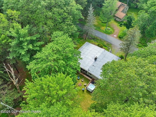 72 Forest Dr, Lake Harmony, PA 18624 - photo 50